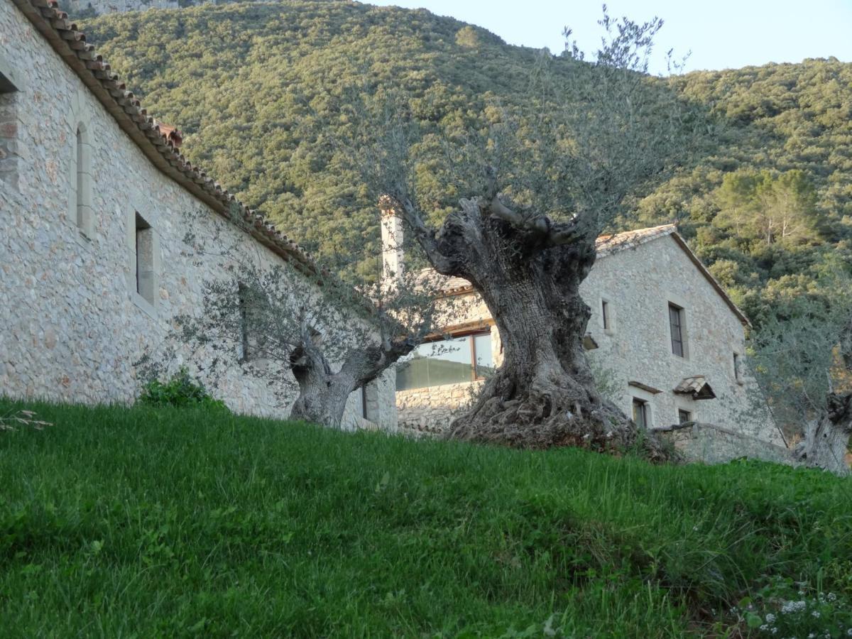 Els Masos De Caula Villa Girona Exterior photo